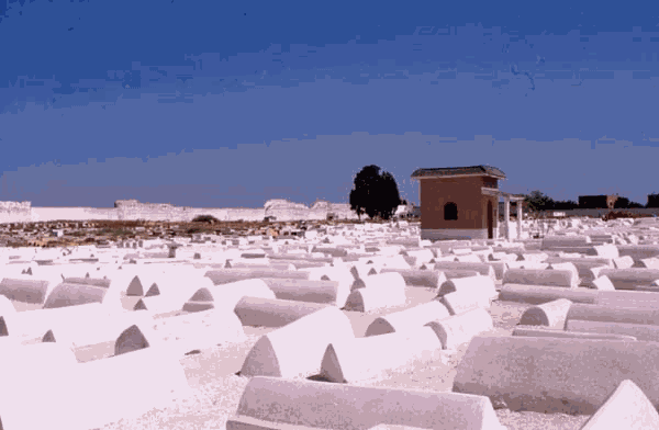 Empreint de sérénité, le vieux cimetière juif de Marrakech